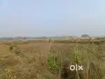 46000sqft, plot for rent any commercial purpose in Bajpur, Khorda