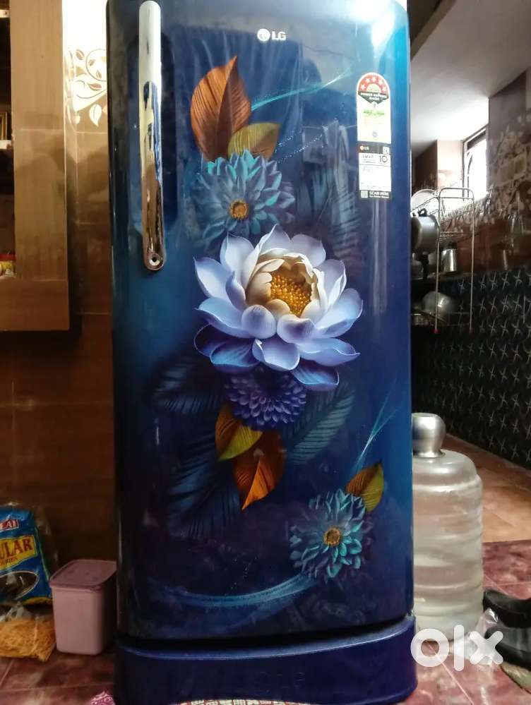 Refrigerator LG Single door