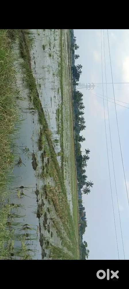 Main road 1km distance