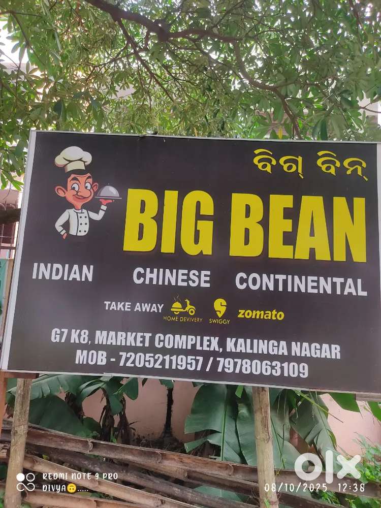 Need an indian chinese chef for restaurant