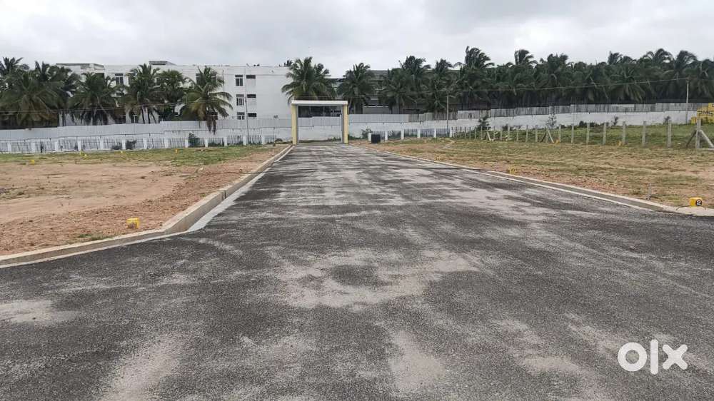 Karpagam college back side