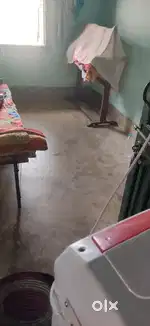 Room for Job holder Bachelor girl
