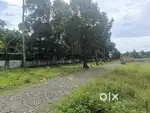 Varappuzha alangad house plot for sale per cent ₹3.10 lakh