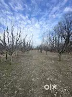 I m selling my plot of 19 mlr at 90 feet road
