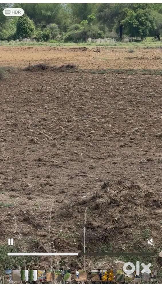 15.5 vingha land for sale , at-buhari