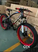 All working and perfect condition 8 month old fat bike
