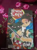 Demon slayer vol 1