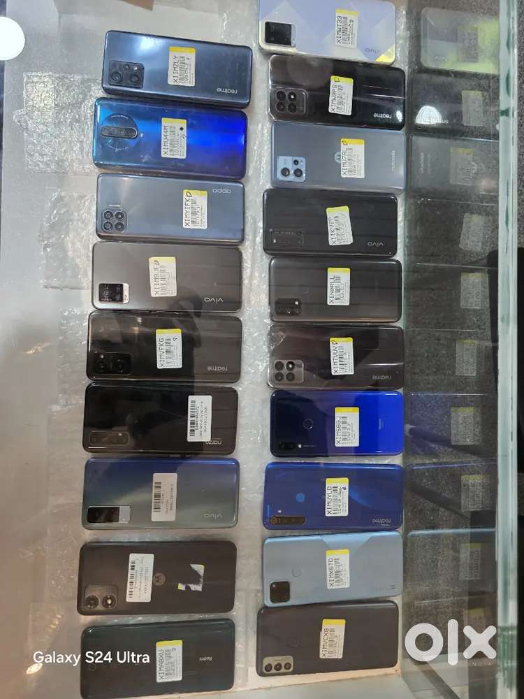 All fresh 100% condition