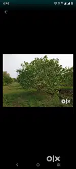 Agriculture Land At Best Price!!!