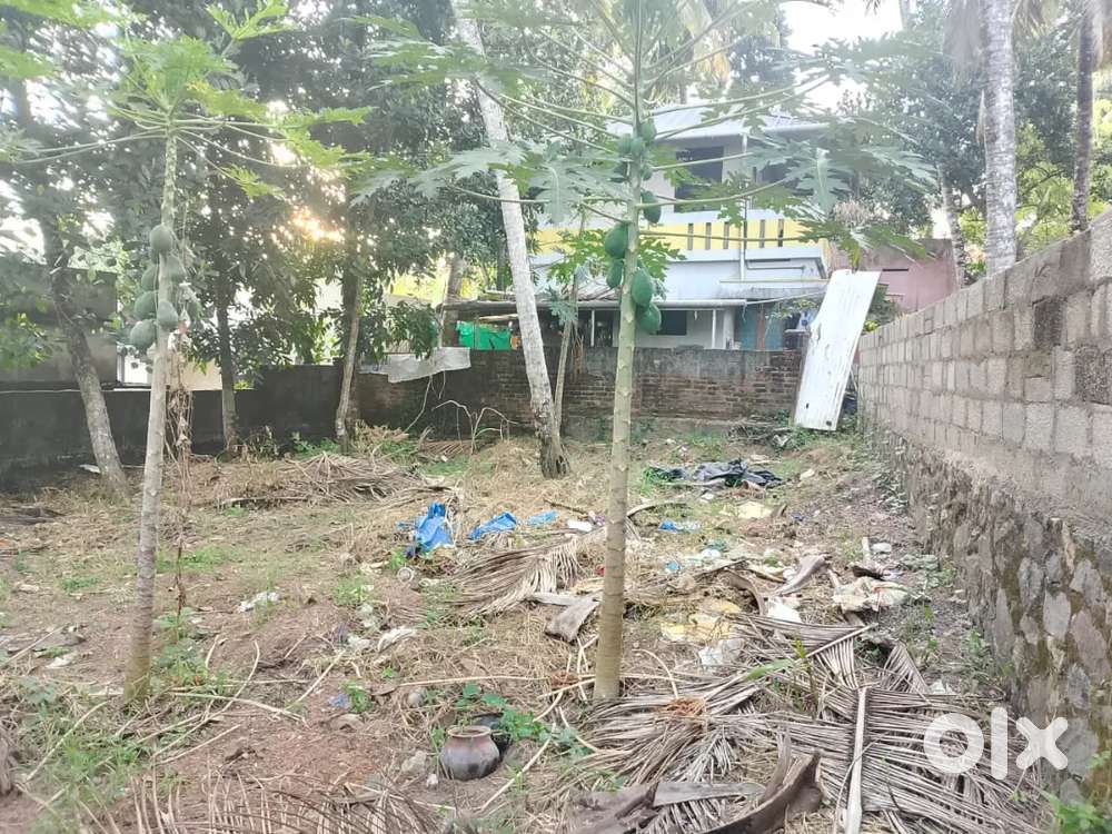 5 cent bike entry compound plot for sale in  pappanamcode