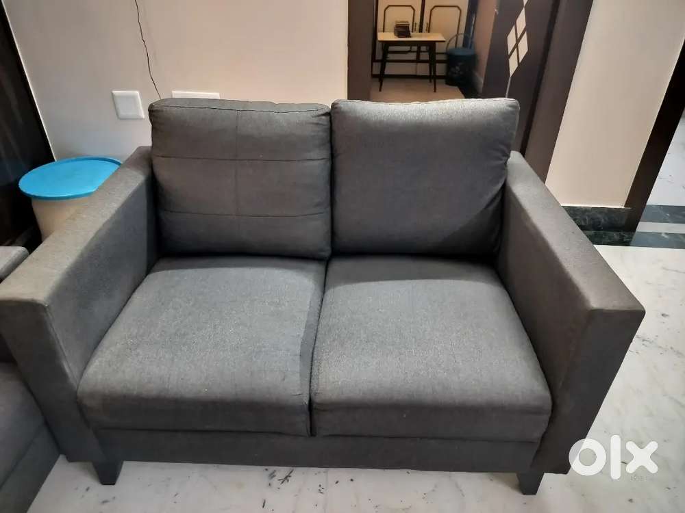 Two seater Sofa with centre table