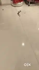 Swiper ki jarruret hai
