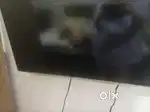 Samsung tv