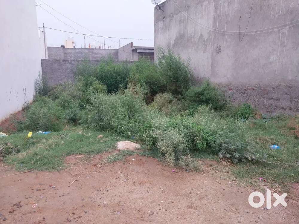 Bishnuli Near Chhapraula Police Chowki