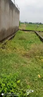Plot h600 hai