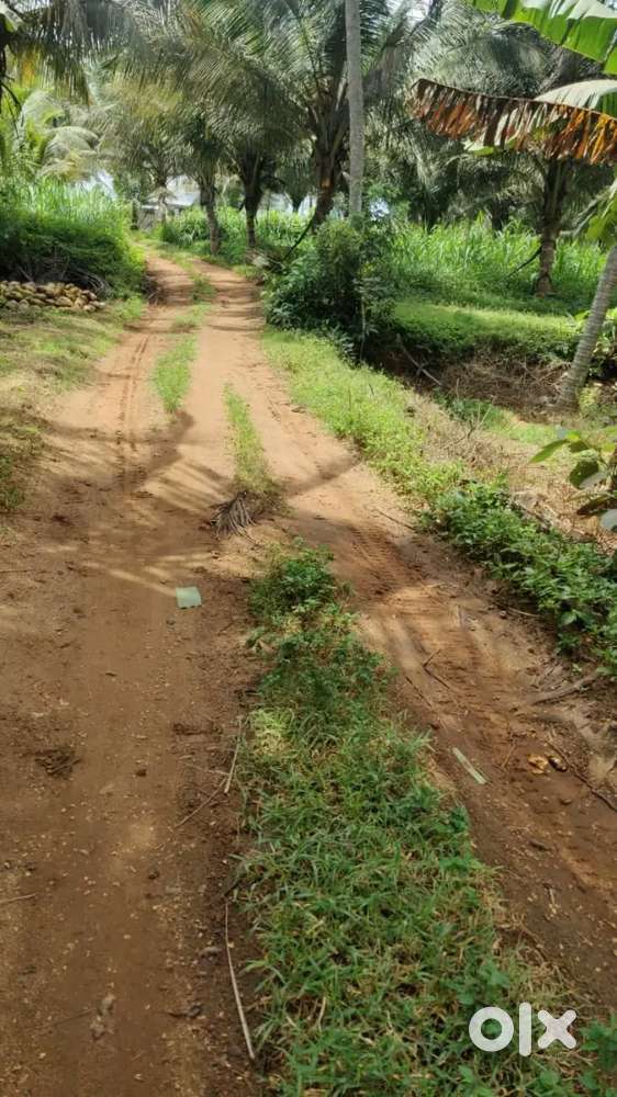 Pollachi Coimbatore hiway west said land sales