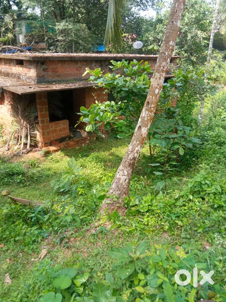 11cent plot urgent sale