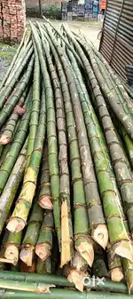 Bamboo wholesaler