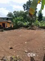 Land for sale 12.5 cent at kottavattam