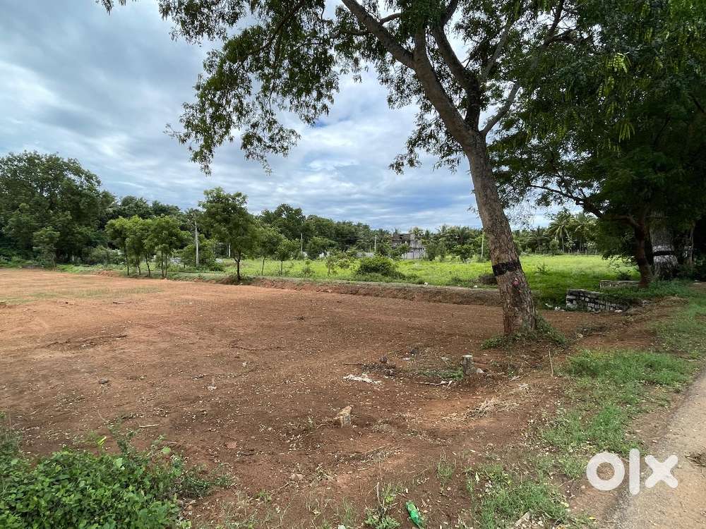 Land for coffee shop