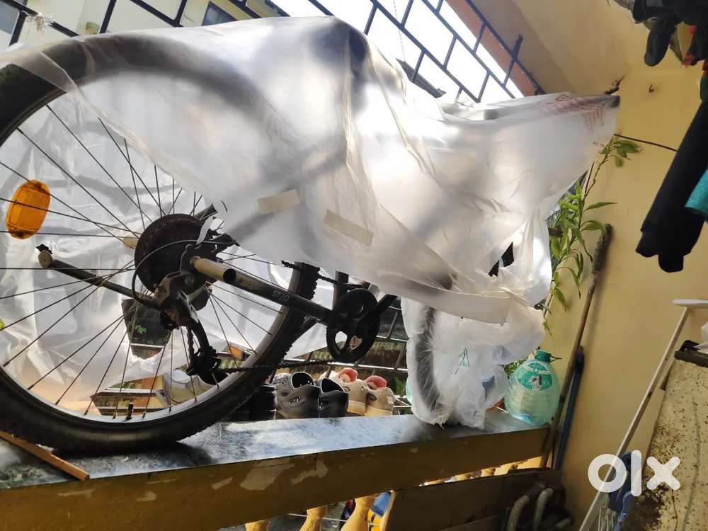 I want to tell you it is the good cycle only 7 speed