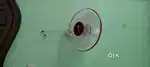 Wall Fan- pink