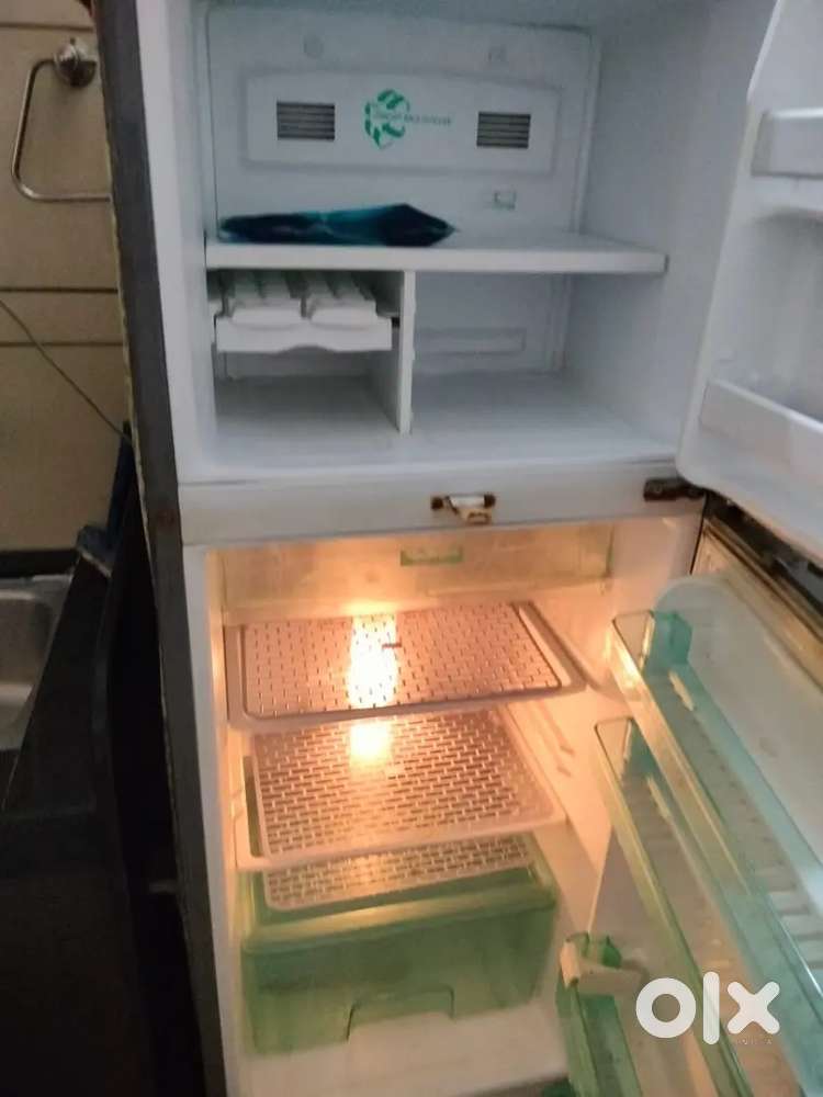 Dubal dor frige