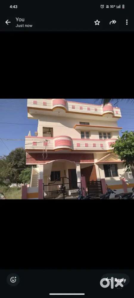 House for rent ( no lease)