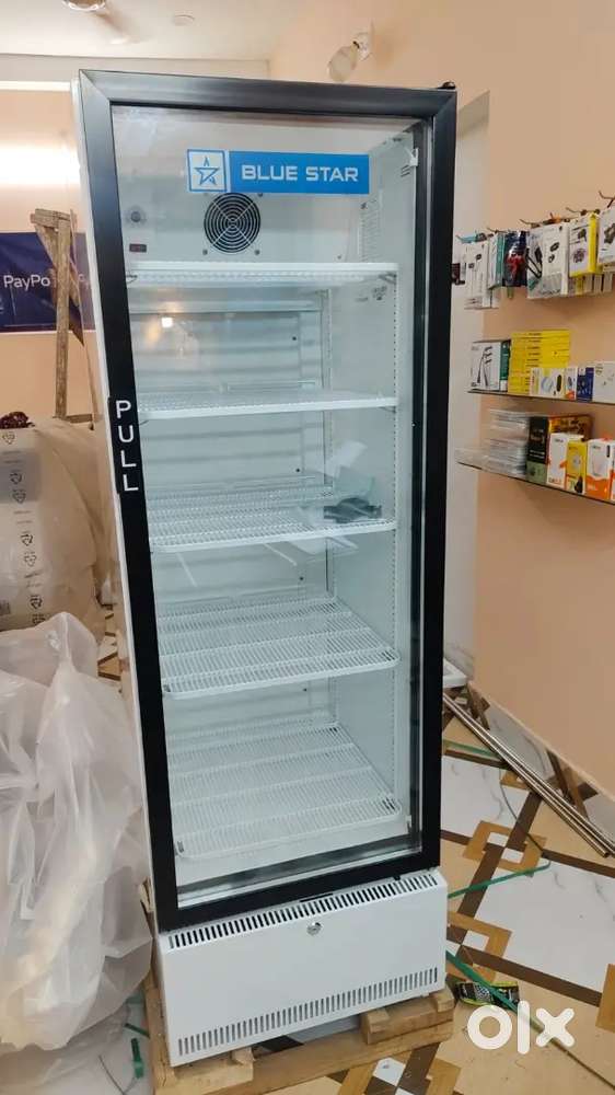 Bluestar 375 litre Visi Cooler Freez