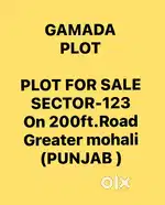 500gaj Gamada Plot on 200ft. Road facing,for sale in sector-123,Mohali