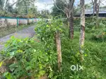 Residential Land