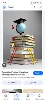 Primary Teacher