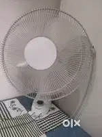 Cool white fan
