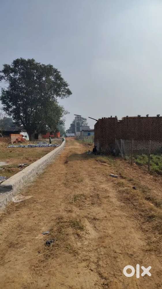 12 decmil pure genral plot in Baram Gaon.