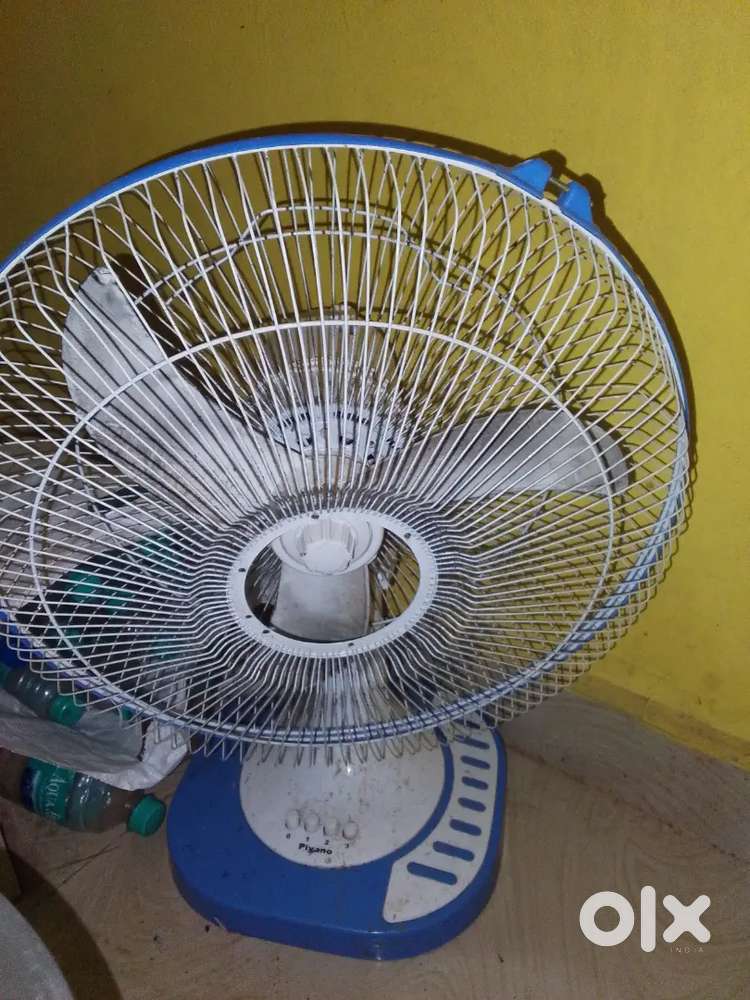 Table fan fan