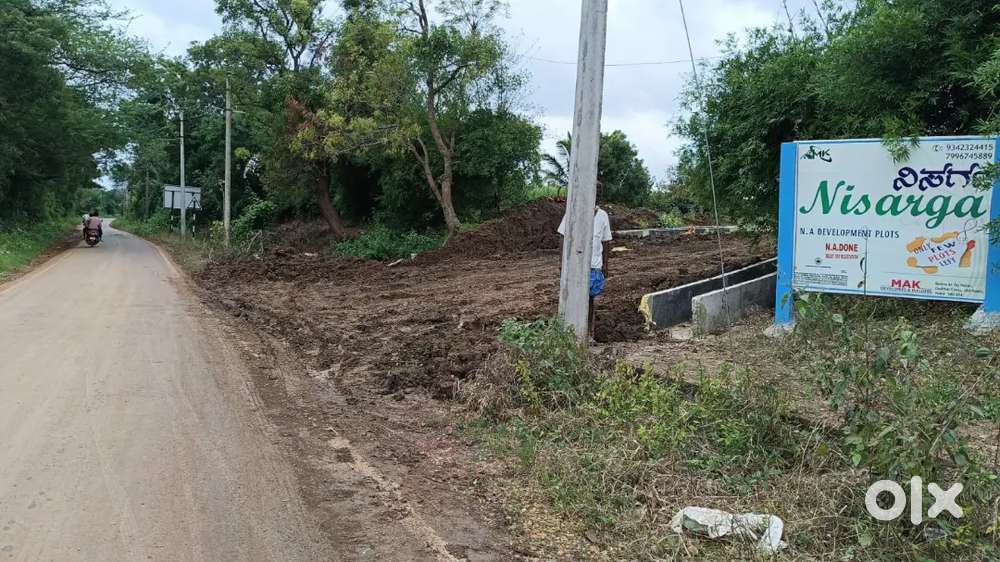 Real Estate Marketing Executive