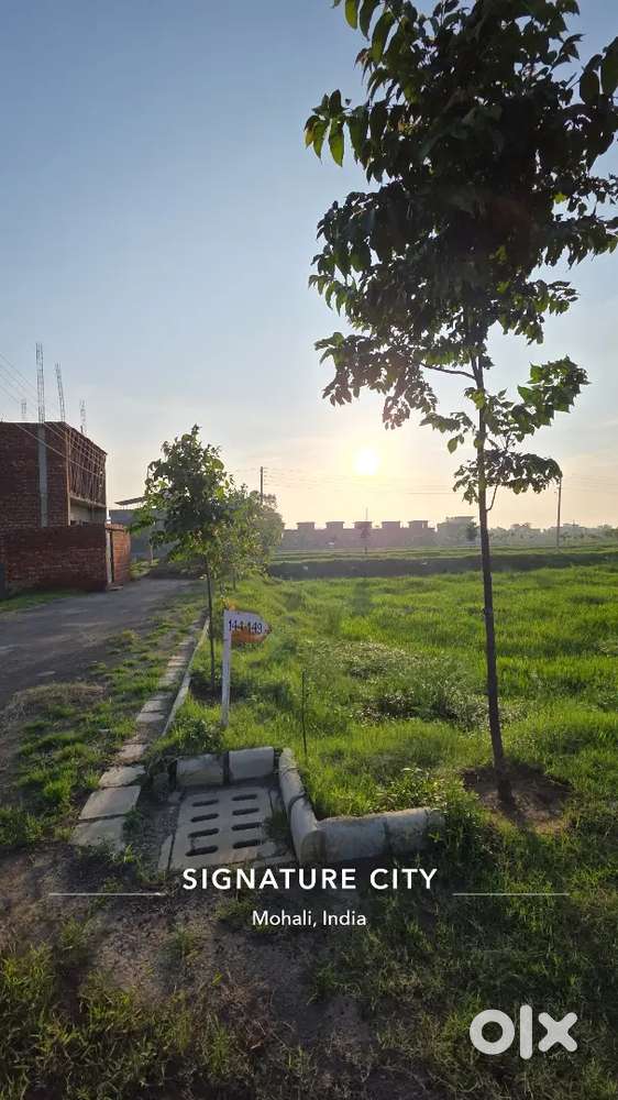 125sqyd plot Adjoining IT City round about