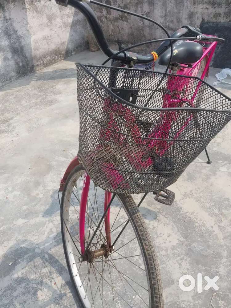 Ladybird cycle