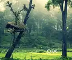 വയനാട്ടിൽ സർവീസ്ഡ് വില്ലകൾക്ക് പെർമിറ്റുള്ള ഭൂമി വില്പനക്കു