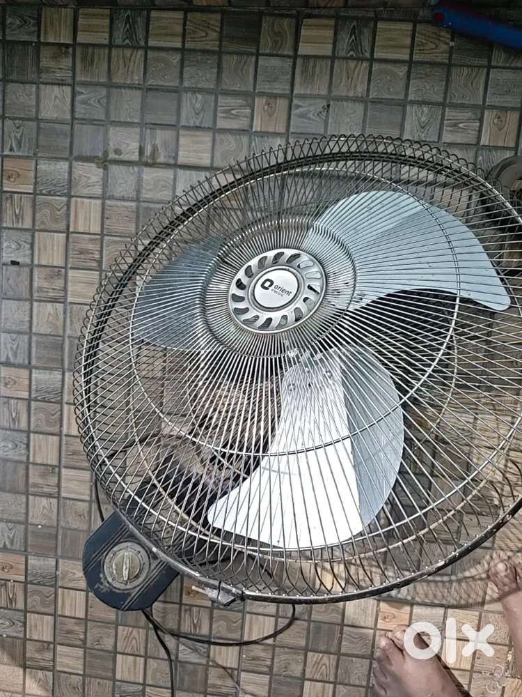 Wall fan (orient)