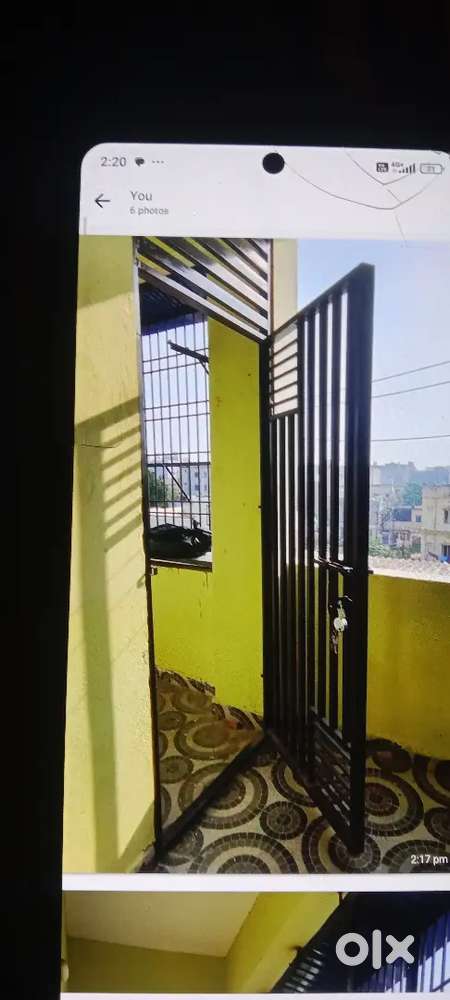 Instructed batcheers