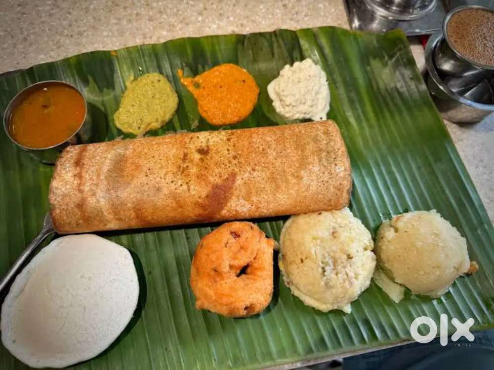 I AM South Indian Cook, Dosa Specialist, I AM Tiffin Mistri,