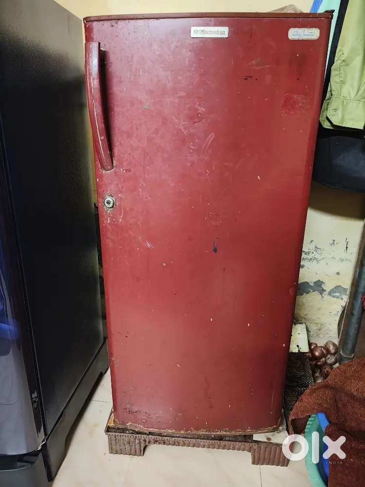 Fridge refrigerator