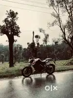 Duke 200 bs3