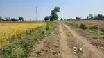 Farmhouse for sale on raosen road near betwa