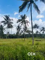 പുൽപ്പള്ളി  വീട് നിർമ്മിക്കുവാൻ അനുയോജ്യമായ സ്ഥലങ്ങൾ വില്പനക്ക്