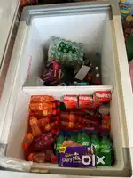 Western Deep Freezer