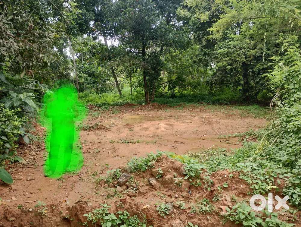 7 cent land for sale at Mundoor (kootupatha), Palakkad
