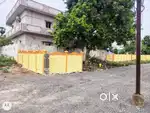 ఉచిత రిజిస్ట్రేషన్ సదుపాయం తో కంకిపాడు లో ఇళ్ళ స్థలాలు ఇళ్ళ మద్యలో