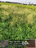 Jo kheti karne ke liye zameen kharidna chahte hai